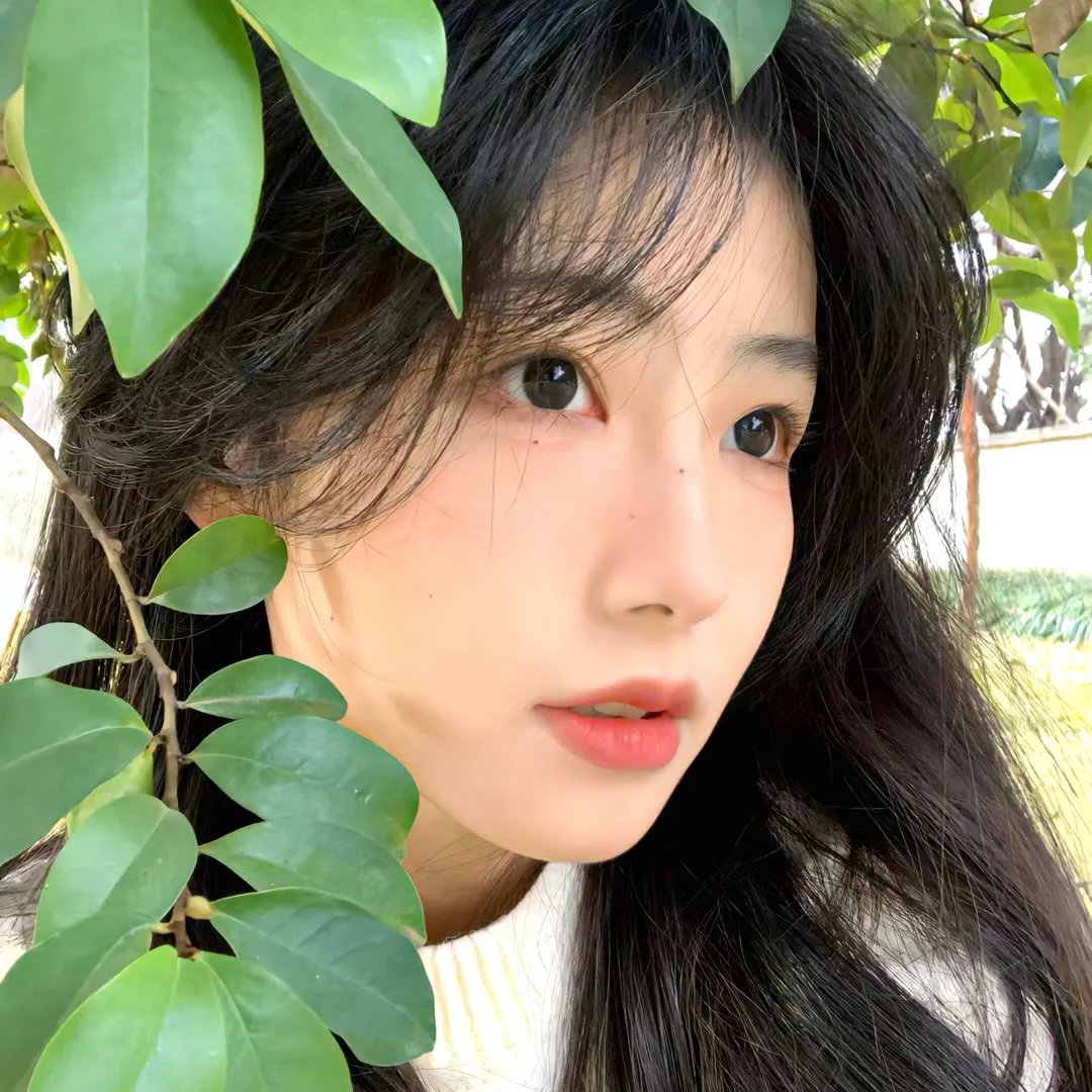 窥情国语