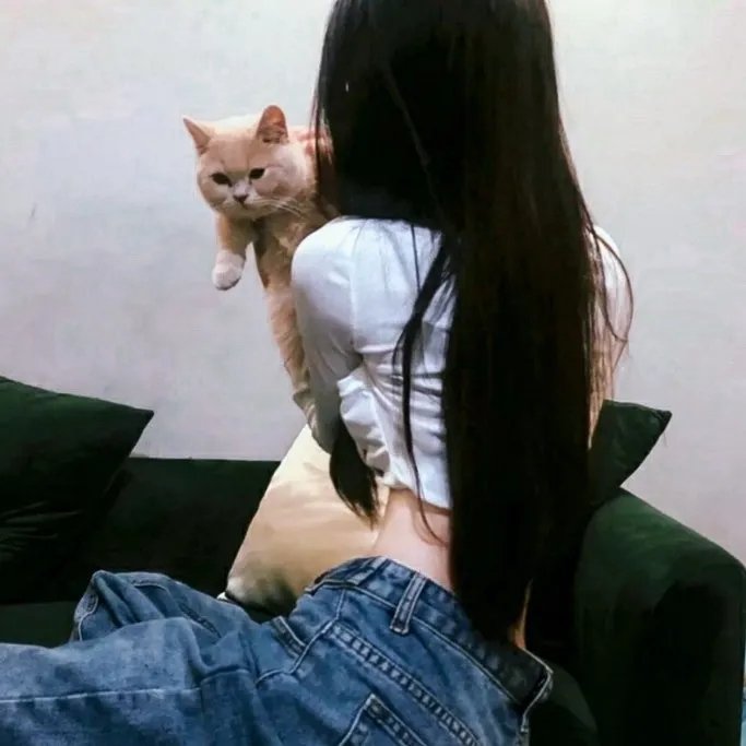 美人局